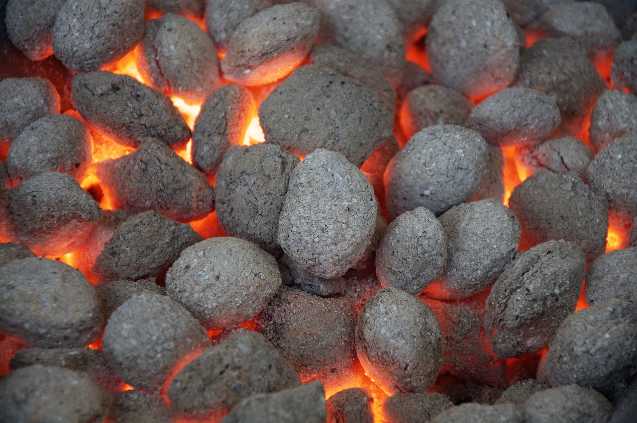 grill, briquettes, grilling-2499759.jpg